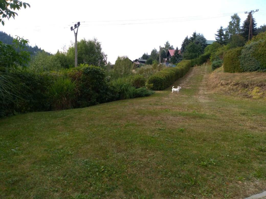 Apartman Kral Albrechtice v Jizerskych horach Buitenkant foto